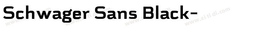 Schwager Sans Black字体转换